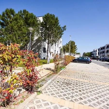 Apartment Garden In Valamar - 246 Hamallaj