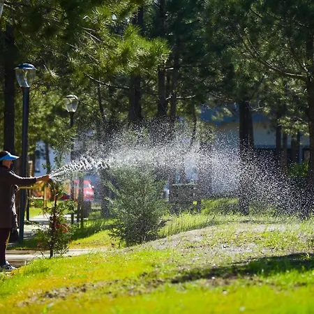 Διαμέρισμα Garden In Valamar - 246 *